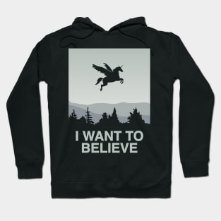 I want to believe - Unicorn Pegasus Hoodie